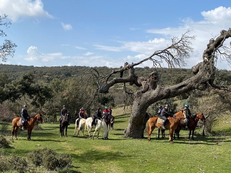 Rutas a caballo en Ávila - El Cortijo