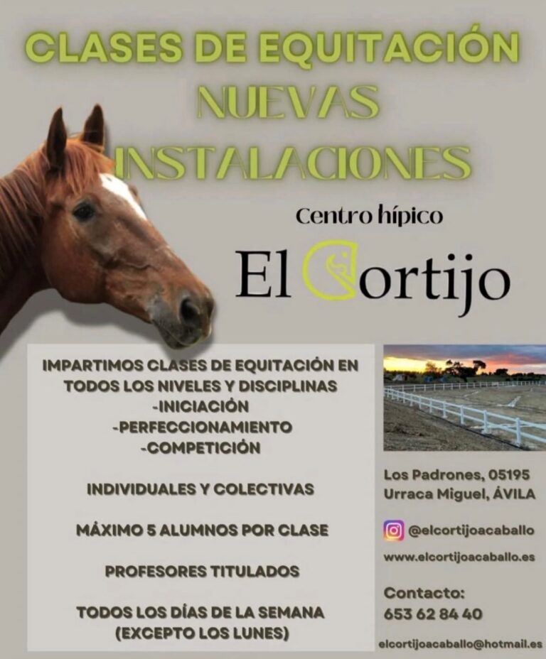 clases de equitación para todos los niveles y adaptadas a todas las edades con profesores titulados.