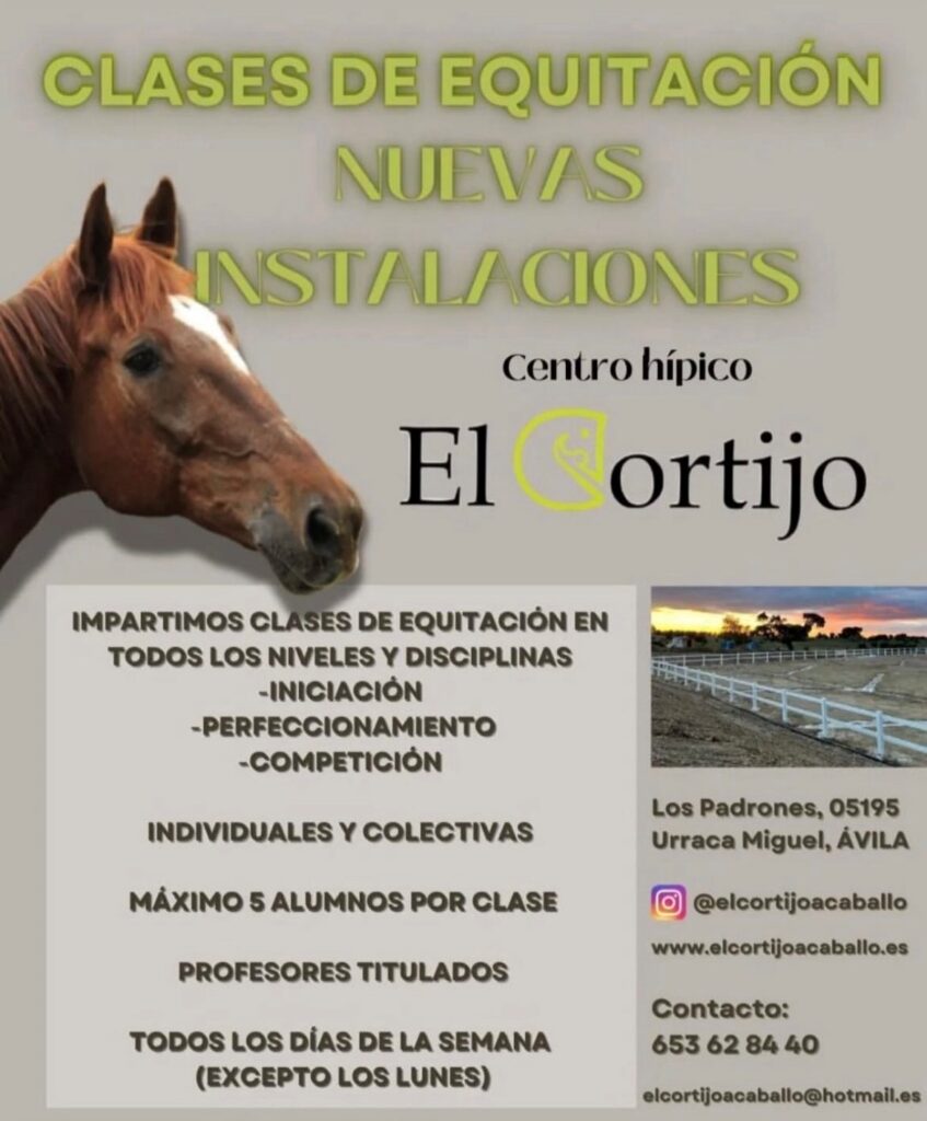 clases de equitación para todos los niveles y adaptadas a todas las edades con profesores titulados.
