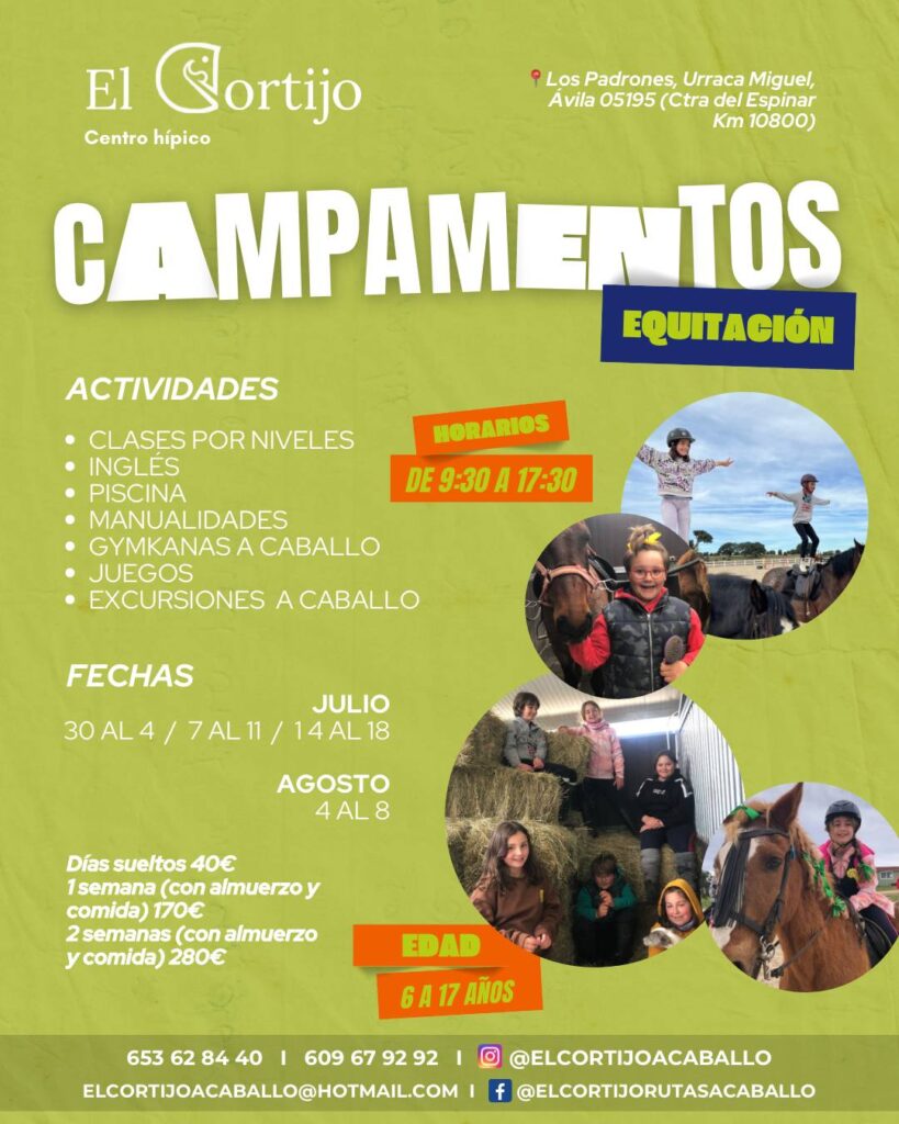 Campamentos de verano
